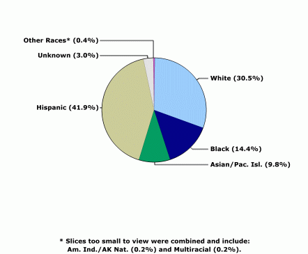 New York Ethnicity Pie Chart